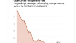 "韓, 인구 3분의 2 사라질 것"…머스크, 한국 저출산 또 경고	