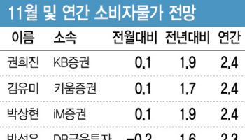 "11월 물가상승률 1.7% 전망"…환율 상승에 '수입물가'는 부담