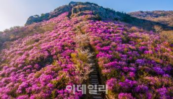 '여수 영취산 흥국사 일원', 국가지정자연유산 명승 지정