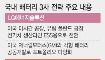 '배터리 생존경쟁'…국내 3사, 사업 재조정·틈새시장 공략