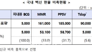 급증하는 홍역·백일해…정부, 국가예방접종 백신 비축량 늘린다