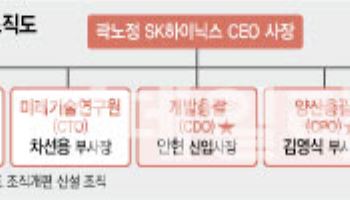 SK하이닉스, D램·낸드 '개발총괄' 통합…CIS는 연구원으로(종합)