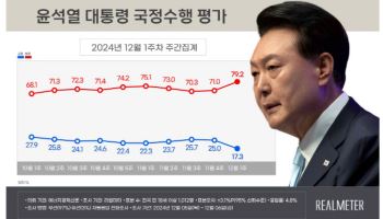 尹지지율 17.3%…계엄 여파 속 10%대 하락