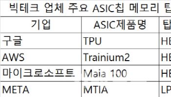 AI 시대 주문형 반도체 급부상…'커스텀' 시장 확 커진다