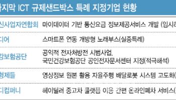 정국 혼란 속 온플법 논의 재시동…한쪽에서는 규제완화 힘 실어