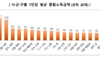 “평균이 1억” 1인당 종합소득액 전국 1위 지역은