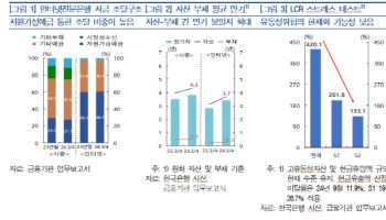 “117조 규모 급성장한 인터넷은행, 연체율은 관리해야”