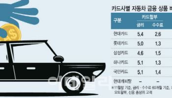 딜러 수수료 파격 인상 현대카드…車바카라 격차 더 벌린다