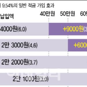 카지노사이트