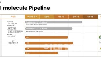 리가켐바이오, 항생제 개발 의미는?…2000억원+α 기대