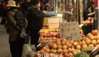 '치솟는 과일·채소 가격' 설 앞두고 장보기 주저돼~