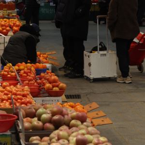 [포토]설 앞두고 장보기 주저돼~                                                                                                                                                                          