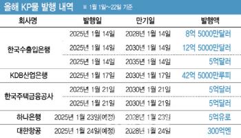 탄핵정국에도 외화채 발행 이상無…되레 흥행