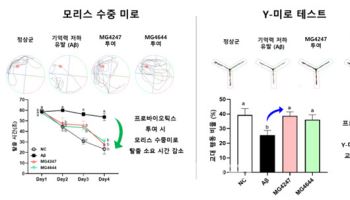 메디오젠, 프로바이오틱스의 인지·기억력 개선 효과 확인