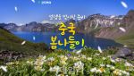 "무비자로 中 여행객 43%↑"…모두투어 ''봄나들이'' 기획전 선보여