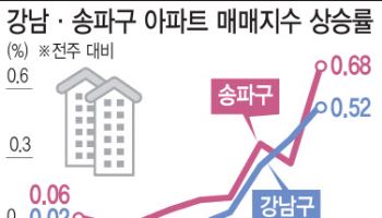 하루 새 8억 점프…강남집값 이상 과열