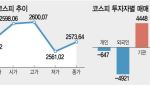 ‘오락가락’ 코스피, 변동성 장세…“흔들릴 땐 2등주”