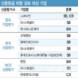 [마켓인]‘제2의 홈플러스’ 될라…PEF가 사들인 기업 신용등급 하향 우려