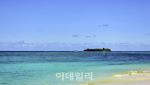 [여행] 눈에만 담기엔 너무 아까우니깐…낙원을 달리다