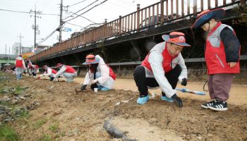 경남은행, 삼호천 토닥길 ‘바늘꽃밭 조성 봉사활동’