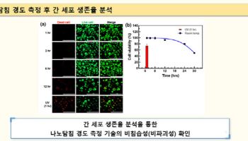 인공장기 손상없이 정밀 측정···화학연, 지방간 신약 개발 돕는다