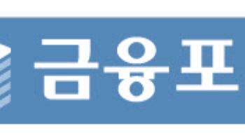 보험 규제 강화에…'당국 vs 보험사·GA' 힘겨루기