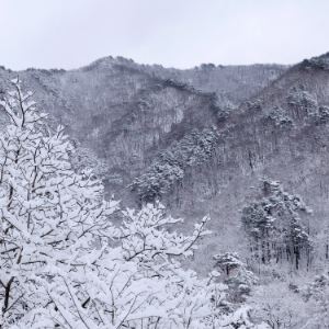 `최대 1m` 때 아닌 3월 폭설…퇴근길 수도권부터 차차 그쳐