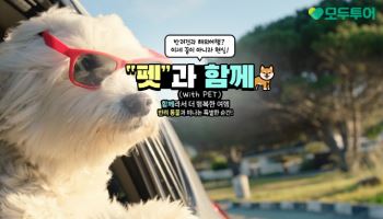 모두투어, 반려견과 함께 가는 베트남 여행 상품 출시