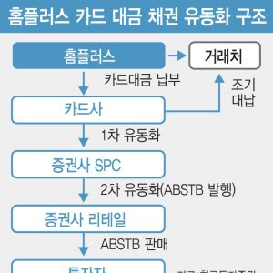 홈플러스 사태 카드사 책임 논란…“책임 묻기 힘들어”