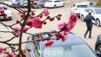 절기상 춘분