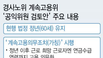 [단독]고령자 특화사업장 통한 간접고용도 '계속고용' 인정