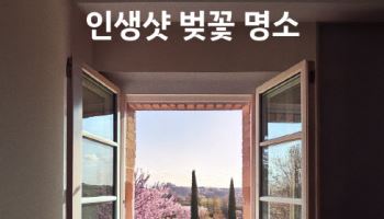 쏘카 타고 가장 많이 찾은 '벚꽃 명소'는 '경주 대릉원'