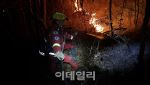 “1만 900여개 축구장 규모” 전국 산불 덮쳤다