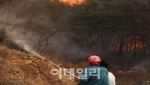 사람 손으로 낸 산불인데…온정주의에 처벌은 고작