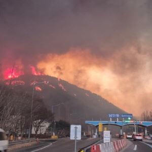 “전 시민 대피하라” 도로에서도 보이는 안동 산불 상황(영상)