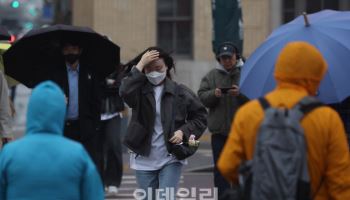 봄비 맞으며 출근