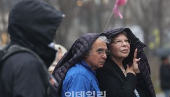 설레는 봄비