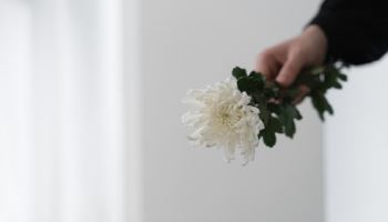 "상조서비스 결합상품, 계약서 꼼꼼히 확인하세요"