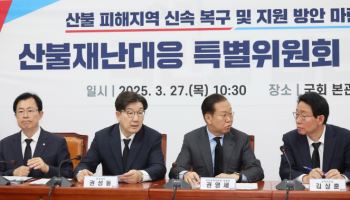 與산불재난대응특위 "예비비 대폭 늘려야…특별재난지역도 확대 요청"