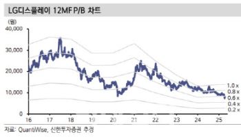 LG디플, 美 관세 정책 불확실성…목표가↓-신한