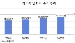 평균 연회비 20만원 육박…카드사 연회비 수익도 껑충