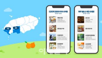 네이버 해피빈, 나만 알고 싶은 제주 로컬여행 가볼까