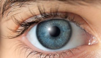 눈만 보고 ADHD 알 수 있다?…'정확도 96.9%'