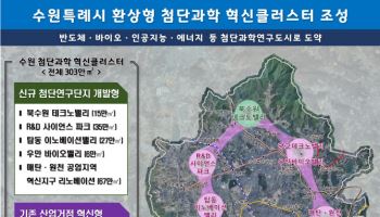 수원시의 '잃어버린 20년' 되찾을 카드 ‘환상형 클러스터’