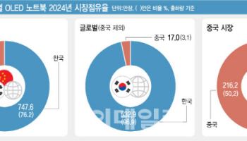 中, 노트북·자동차 OLED 추격 본격화…"정부 지원 시급"