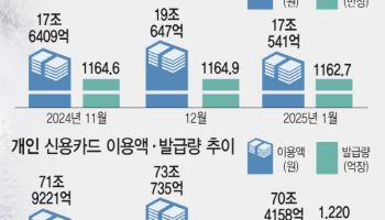 법인카드 발급 7년 만에 감소…기업들마저 지갑 닫는다