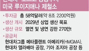 ‘원팀 코리아' 현대차·포스코, 트럼프 관세장벽 같이 넘는다