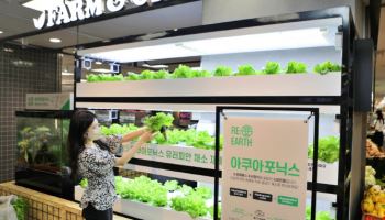 롯데마트·슈퍼, 스마트팜 농산물 판매 확대