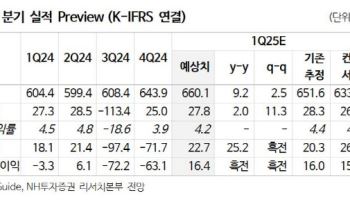 NHH, 티메프 사태 일단락에 목표가↑…신작 성과 필요-NH