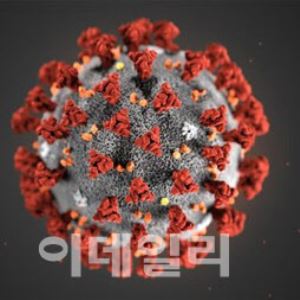 Syntekabio Partners with U.S. Proteco on Universal COVID Drug